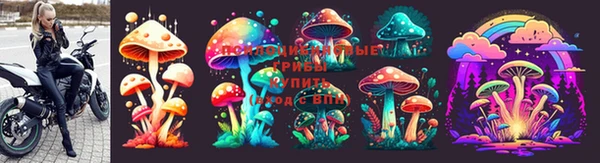дживик Абинск