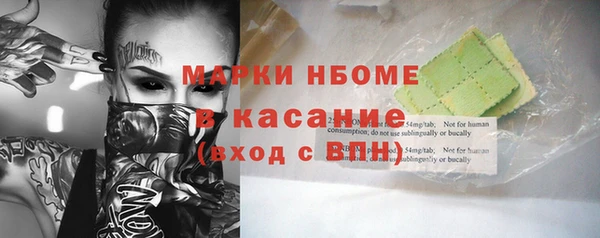 индика Рославль