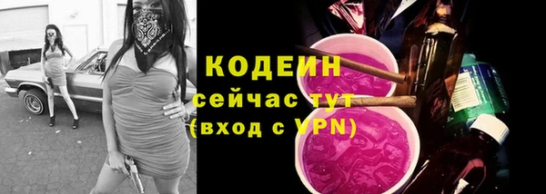 индика Рославль