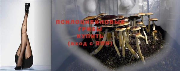дживик Абинск
