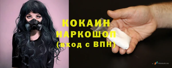 стаф Аша