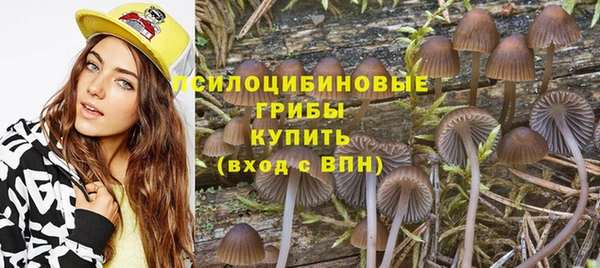 альфа пвп Ростов