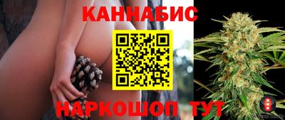 сатива Краснокаменск
