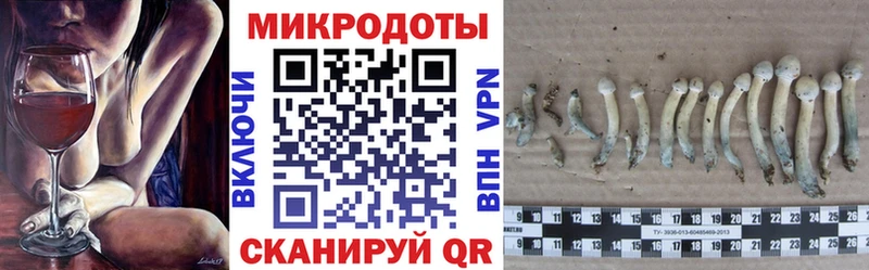 Псилоцибиновые грибы Cubensis Камышлов