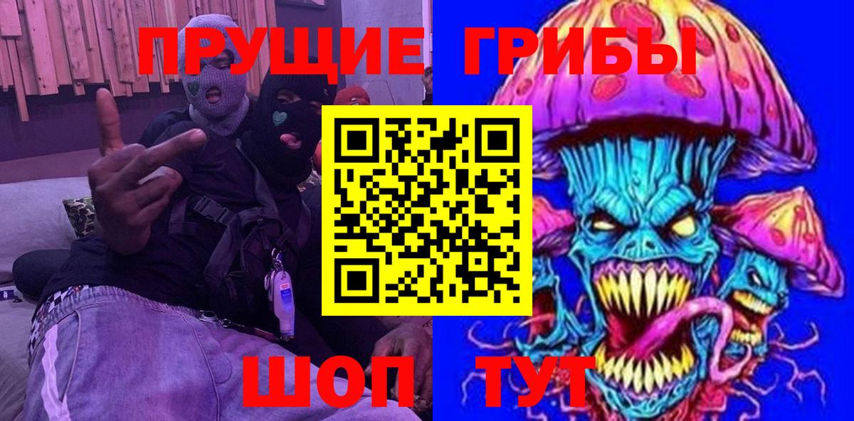 как найти   Галлюциногенные грибы прущие грибы  Вход с VPN  Камышлов 