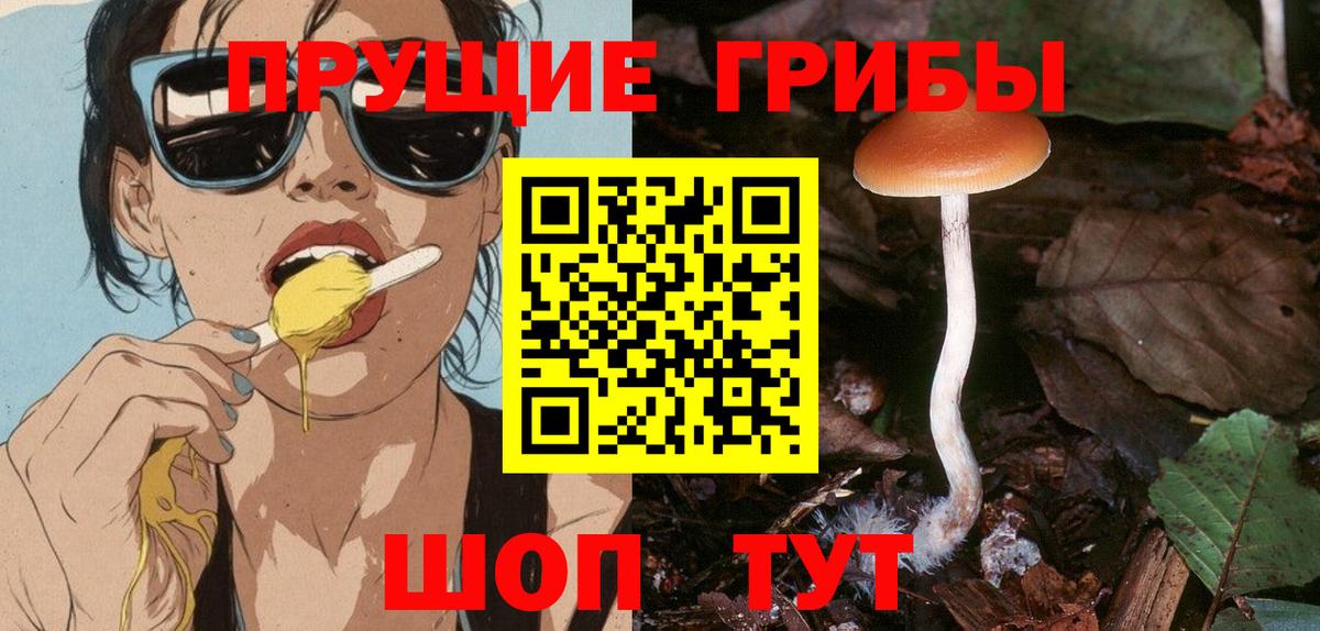 Галлюциногенные грибы MAGIC MUSHROOMS Камышлов